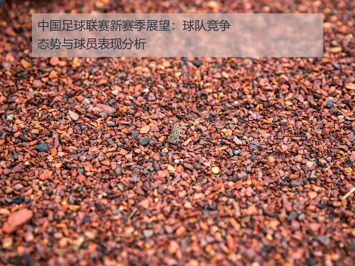 中国足球联赛新赛季展望：球队竞争态势与球员表现分析